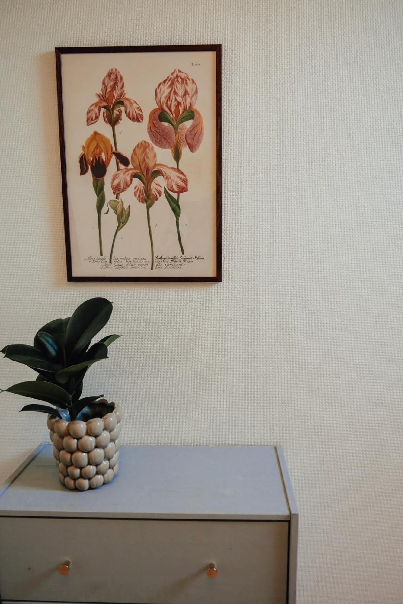 Aespoegarden Bed & Breakfast Klagstorp Luaran gambar
