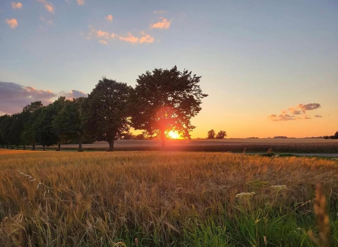 Aespoegarden Bed & Breakfast Klagstorp Luaran gambar